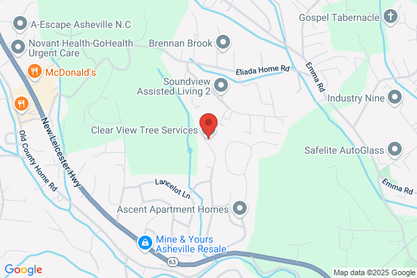 Clear Cut Tree Service