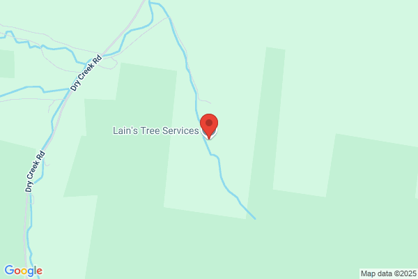 Lain's Tree Service Inc