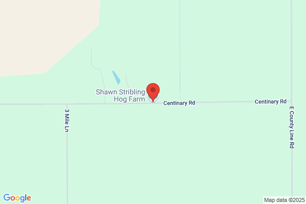 Stribling Hog Farm Shawn