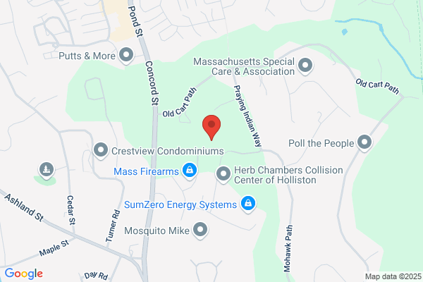 Village Green Landscape & Lawn Care Inc