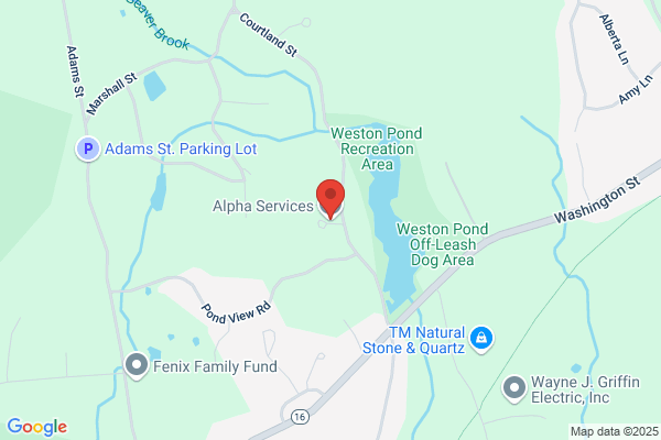 Alpha Services Inc