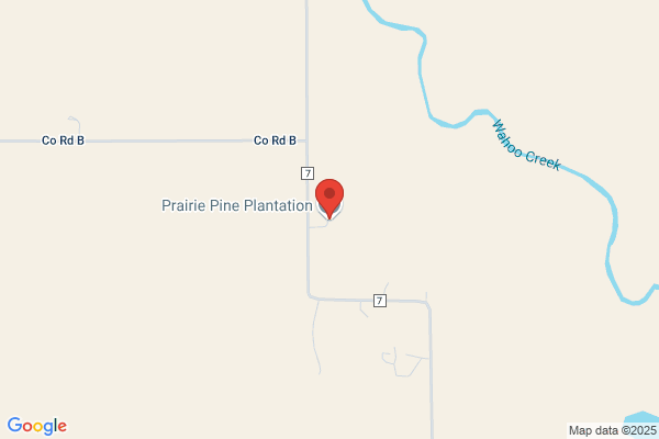 Prairie Pine Plantation