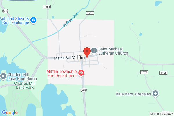 Mifflin Market