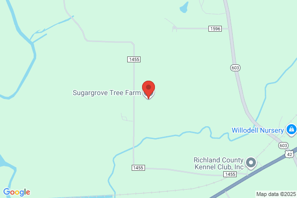 Sugar Grove Tree Farm
