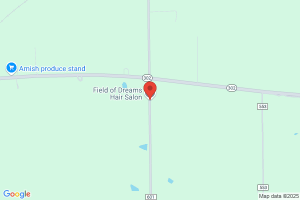Field of Dreams Hair Salon