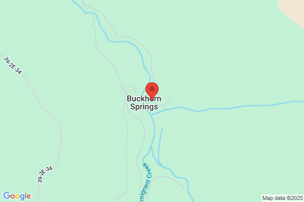 Buckhorn Tree Service