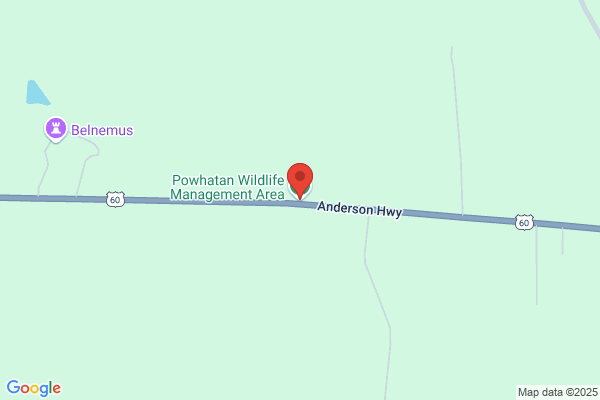 Wild Authority