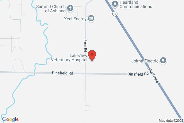 Lakeview Veterinary Hospital