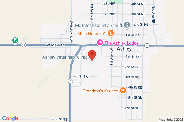 Ashley Veterinary Clinic Inc