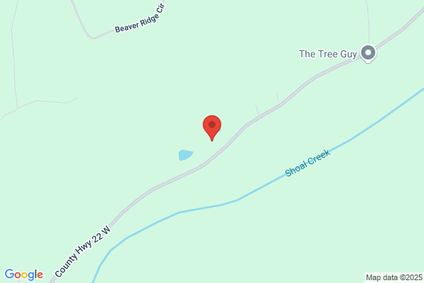 Bryan's Tree Service