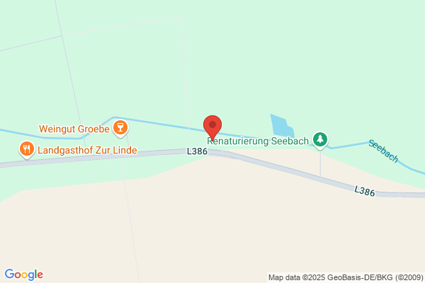 Strassburger Robt