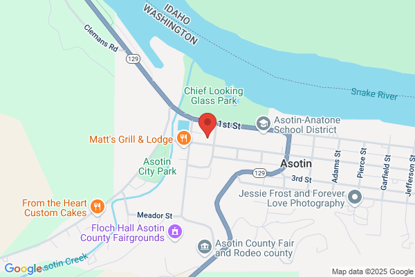 Asotin County, Treasurer