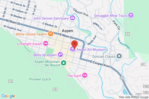 The Aspen Salon