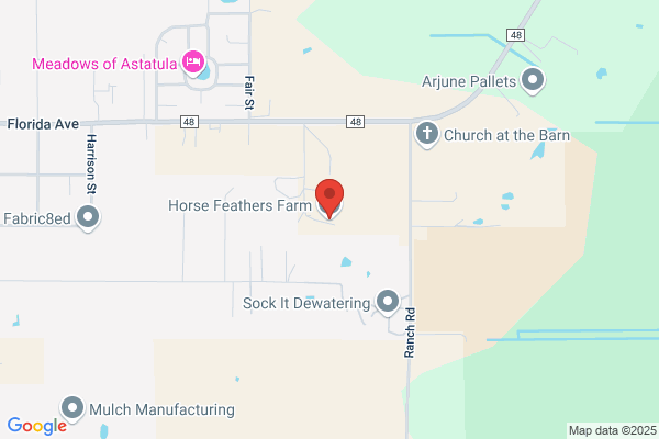 American Horse Farm