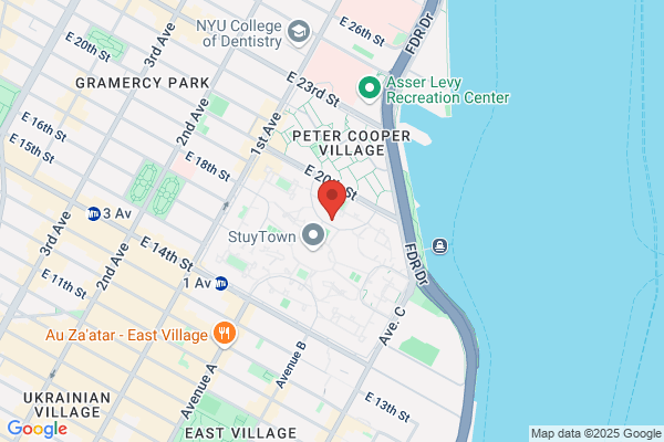 East Village Environmental
