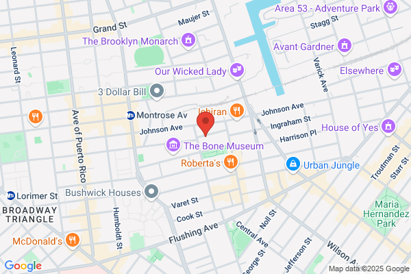 Mad Science of Brooklyn