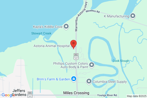 Astoria Animal Hospital