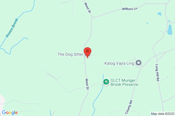 The Dog Walker LLC