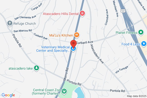 Lens Masters