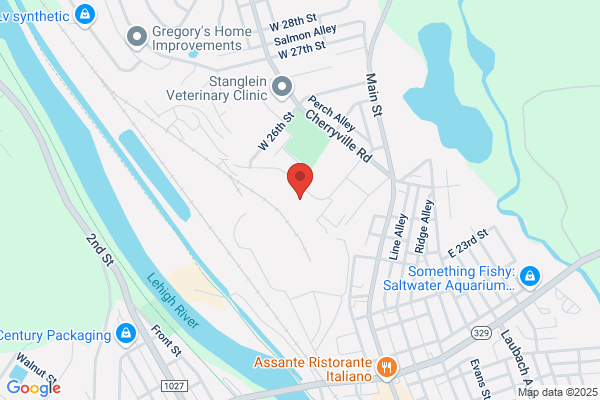 Precision Medical