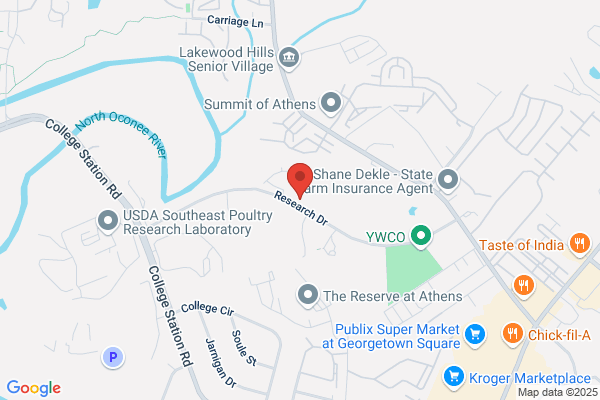 Northeast Georgia Internet Access Inc