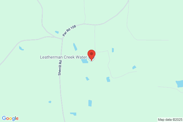 Leatherman Creek Water