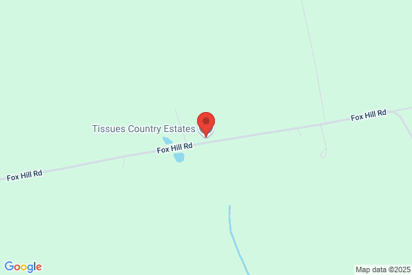 Tissues Country Estate Inc