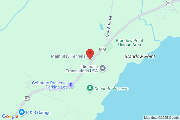 Main Stay Kennels