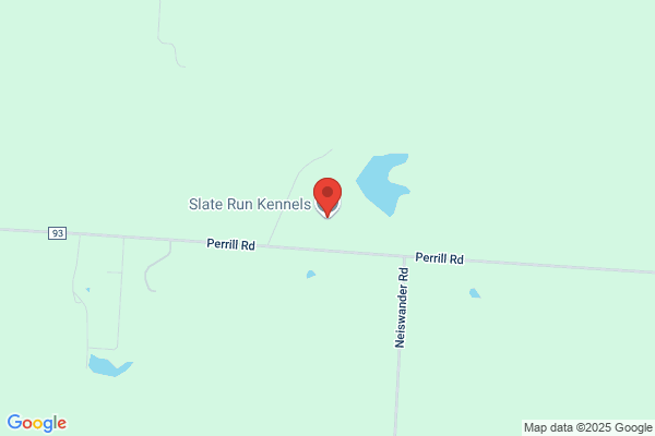 Long Run Boarding Kennel