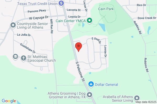 Azalea Orthopedics