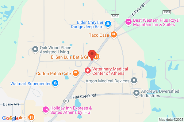 Athens Transfer & Storage