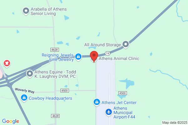 Athens Animal Clinic