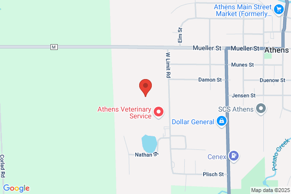 Athens School District, High School