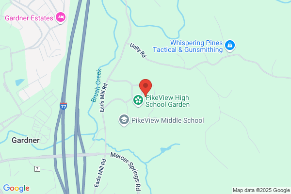 Schools, Pikeview High