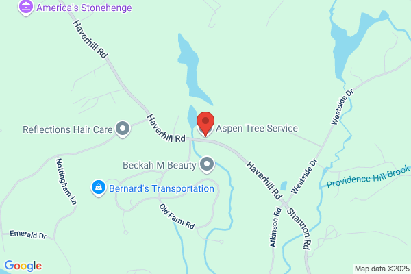 Aspen Tree Service