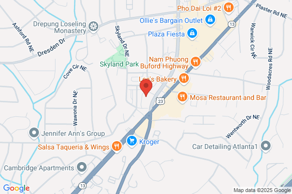 Advance Auto Parts