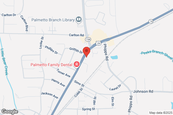 Palmetto Health Council