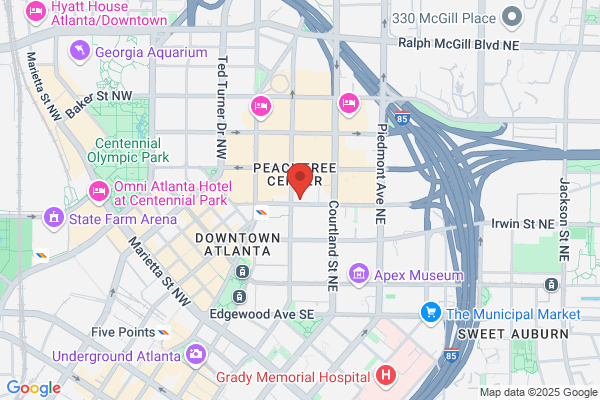 Atlanta Legal Services Inc