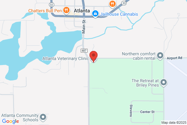 Atlanta Veterinary Clinic