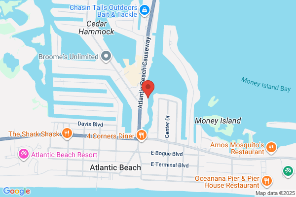 Al Williams Properties
