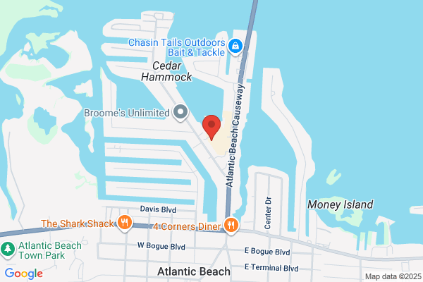 White Swan of Atlantic Beach