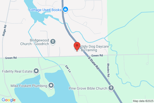 Ugly Dog Daycare & Training