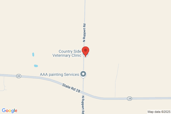 Country Side Veterinary