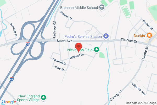Live Event, Wedding Painting by Vesna