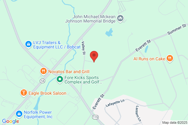 North-Eastern Tree Service Inc