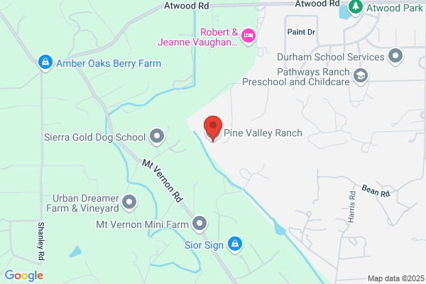 Peltzer Pines Choose & Cut Christmas Tree Farms