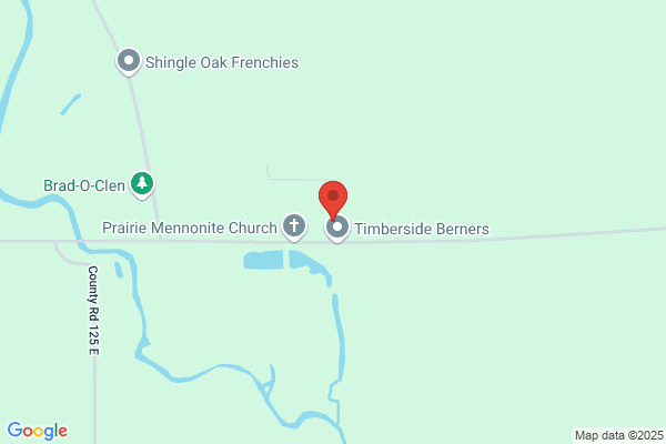Prairie Mennonite School