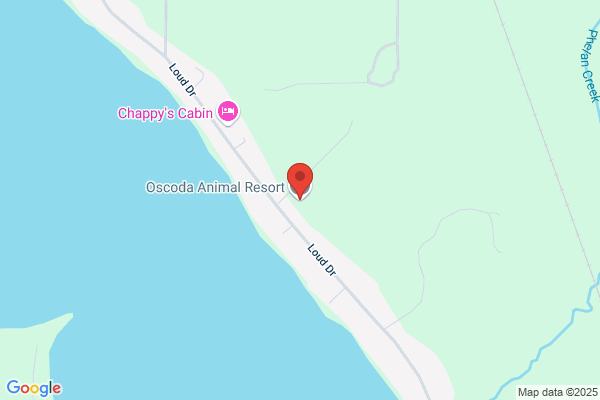 Oscoda Animal Resort