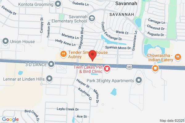 Savannah Dental Care