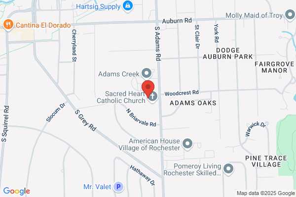 Catholic Social Services of Oakland, Counseling Services
